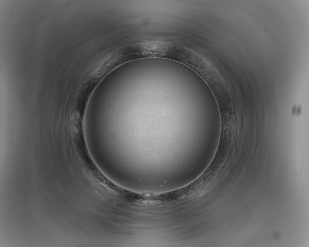 X0000097650649200802291451