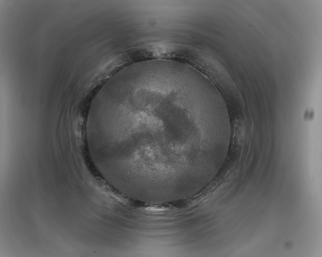 X0000097650650200802291451