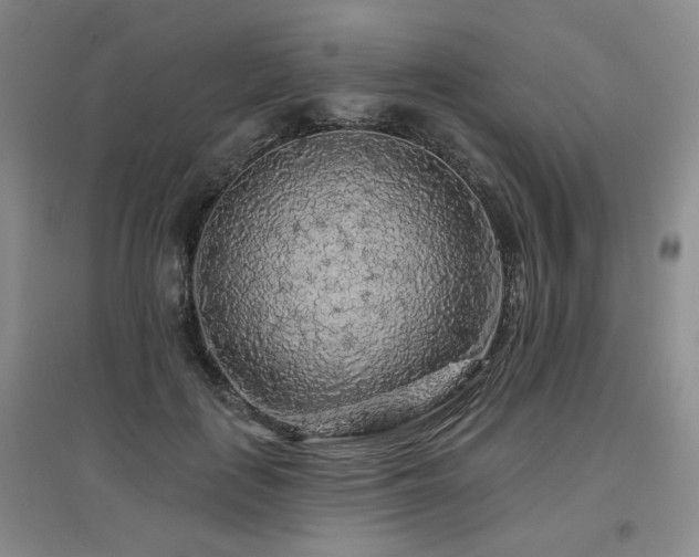 X0000097650651200802291451