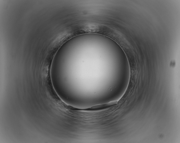 X0000097650652200802291451