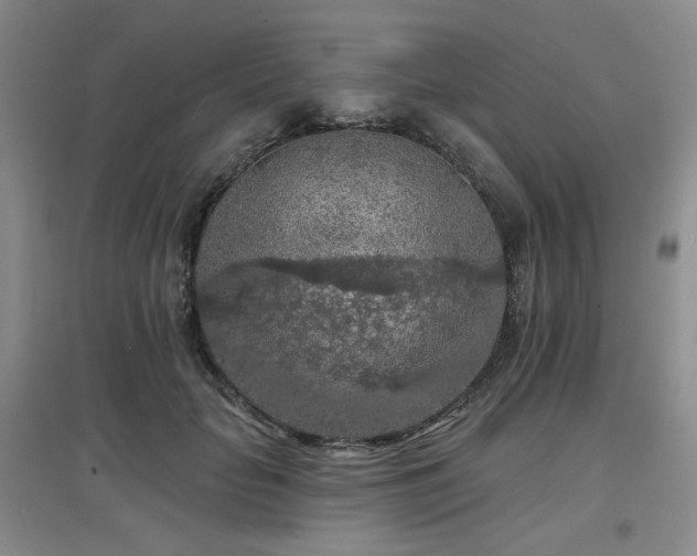 X0000097650653200802291451