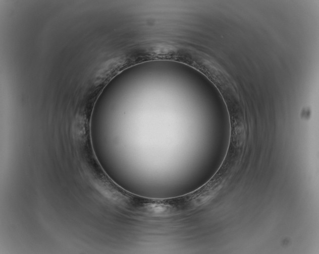 X0000097650654200802291451