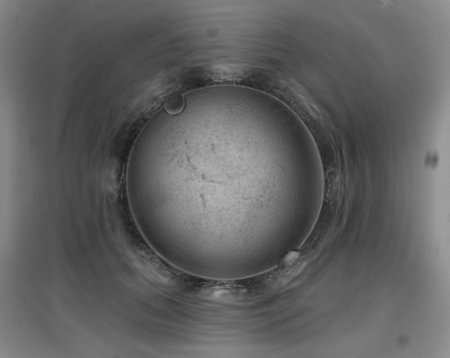 X0000097650655200802291451