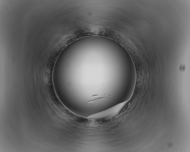 X0000097650656200802291451