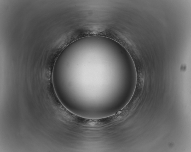 X0000097650657200802291451