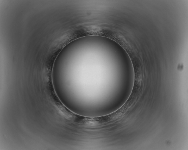 X0000097650658200802291451