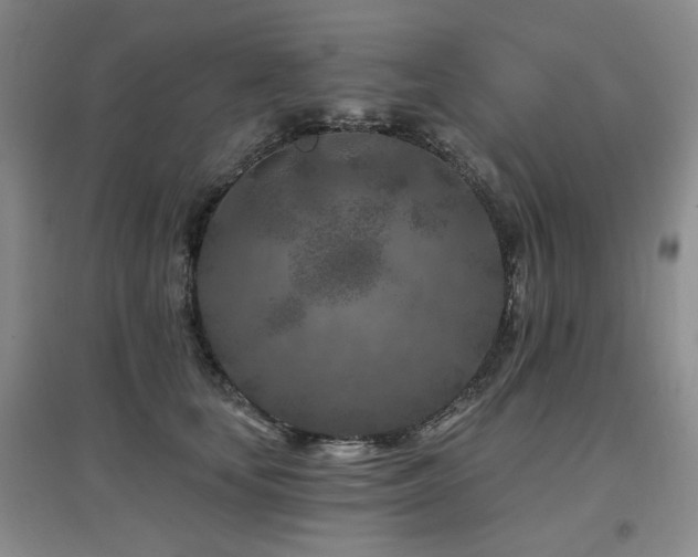 X0000097650659200802291451