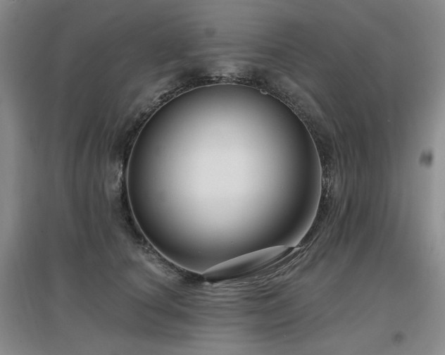 X0000097650660200802291451