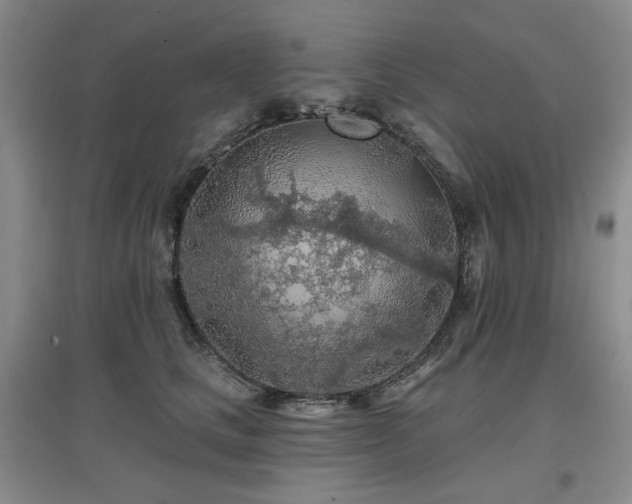 X0000097650661200802291451