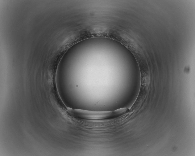 X0000097650662200802291451