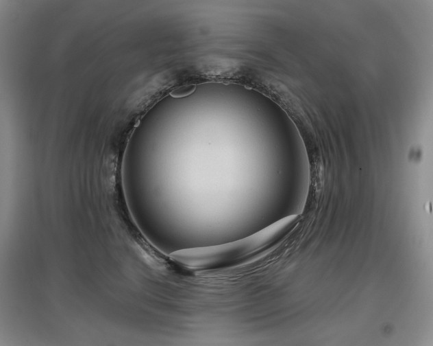 X0000097650664200802291451