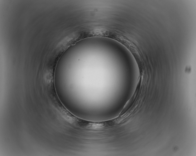 X0000097650665200802291451