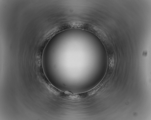 X0000097650666200802291451