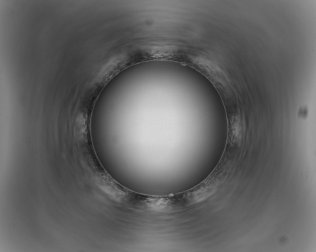 X0000097650667200802291451