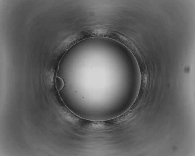 X0000097650668200802291451