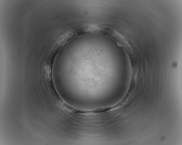 X0000097650669200802291451