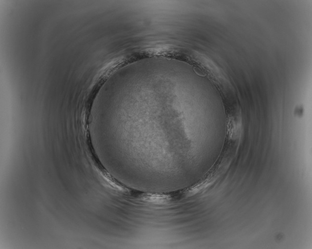 X0000097650670200802291451