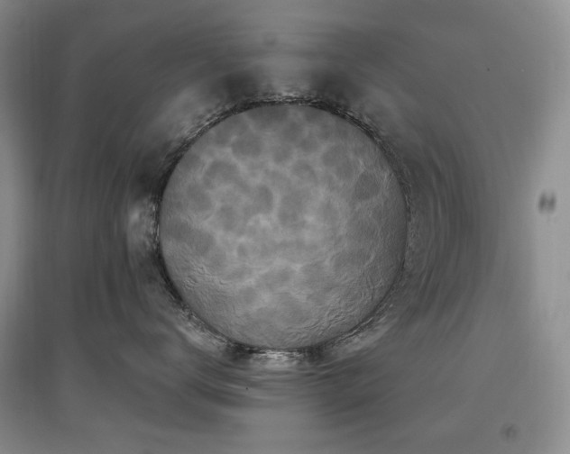 X0000097650672200802291451