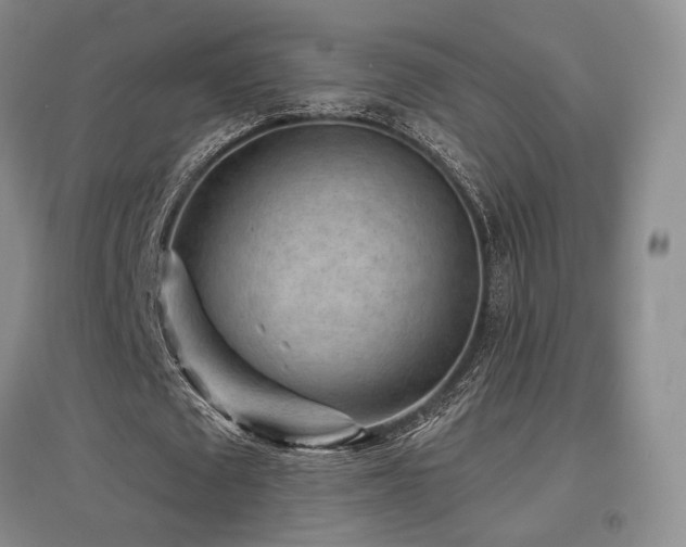 X0000097650673200802291451