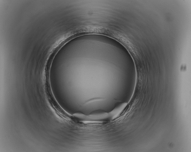 X0000097650674200802291451