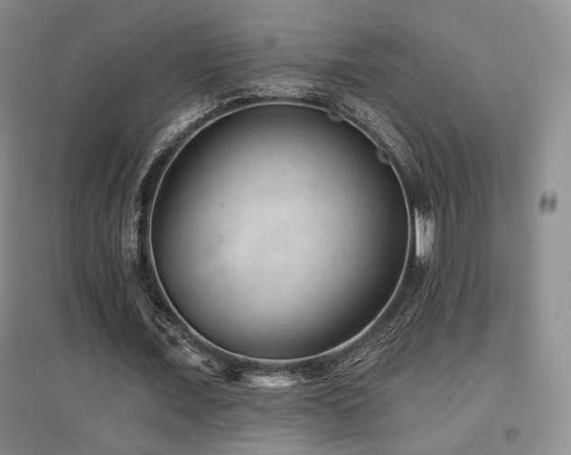 X0000097650675200802291451