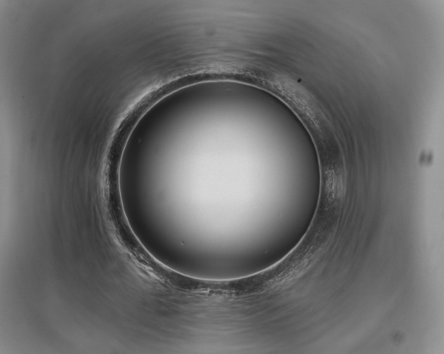 X0000097650676200802291451