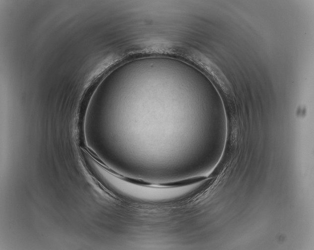 X0000097650677200802291451