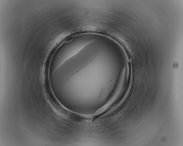 X0000097650678200802291451