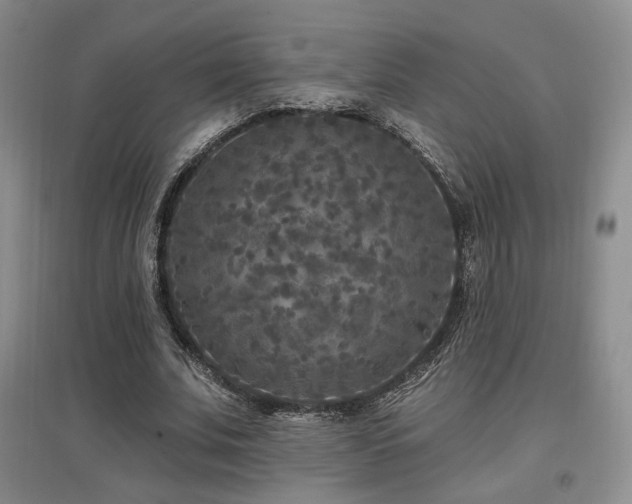 X0000097650679200802291451