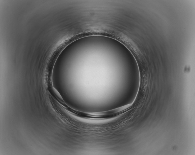 X0000097650680200802291451