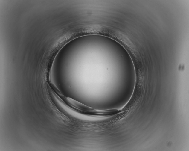 X0000097650681200802291451