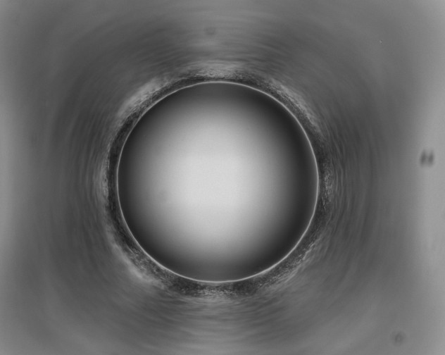 X0000097650682200802291450