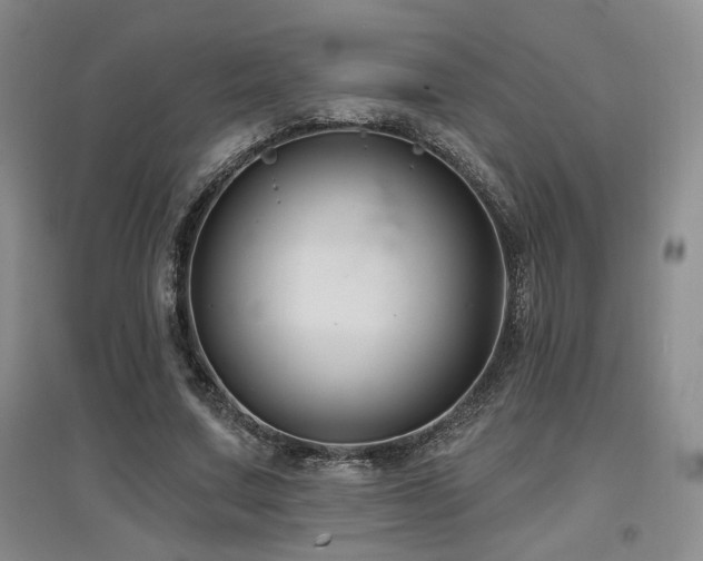 X0000097650683200802291450