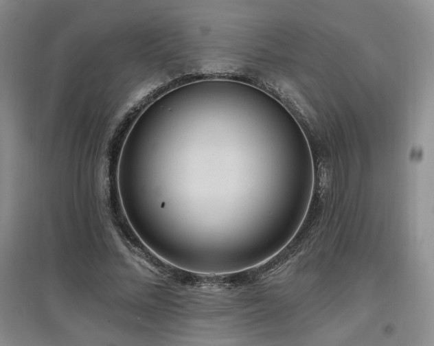 X0000097650684200802291450