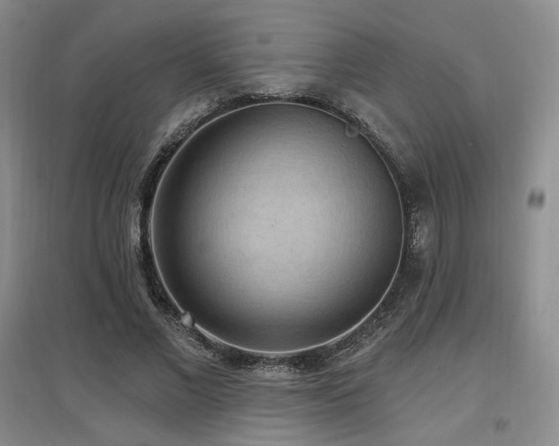 X0000097650685200802291450