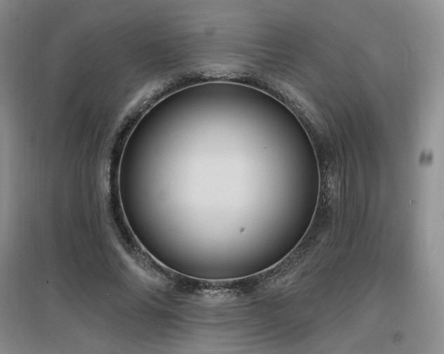 X0000097650686200802291450