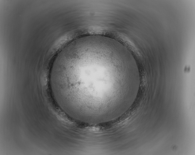 X0000097650687200802291450