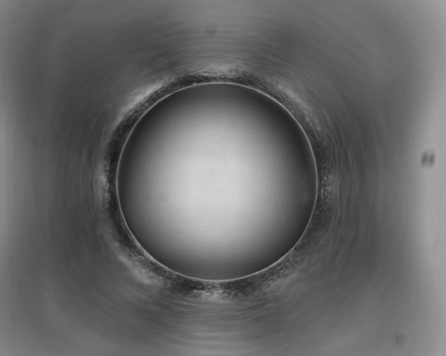 X0000097650688200802291450