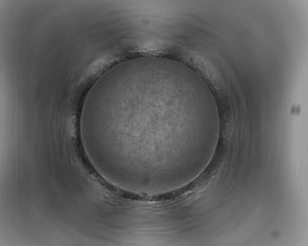 X0000097650689200802291450