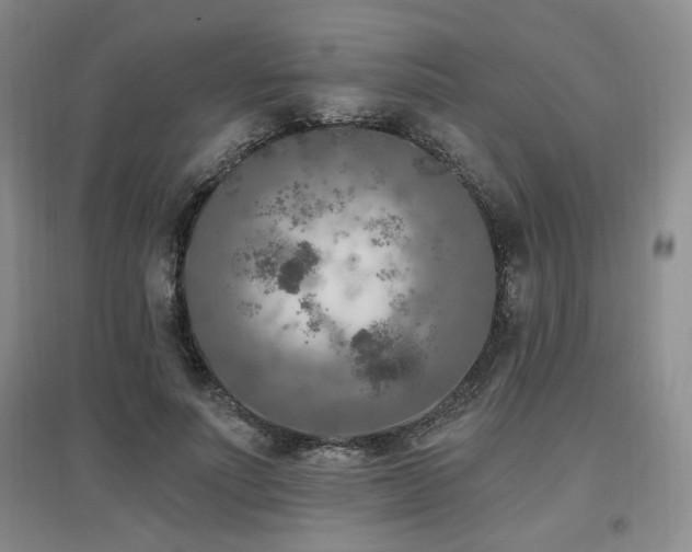 X0000097650691200802291450