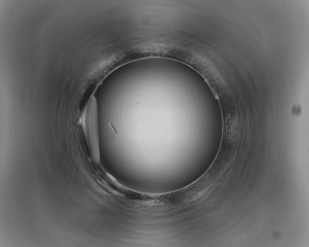 X0000097650692200802291450