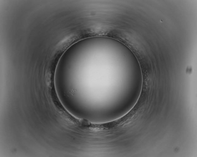 X0000097650693200802291450