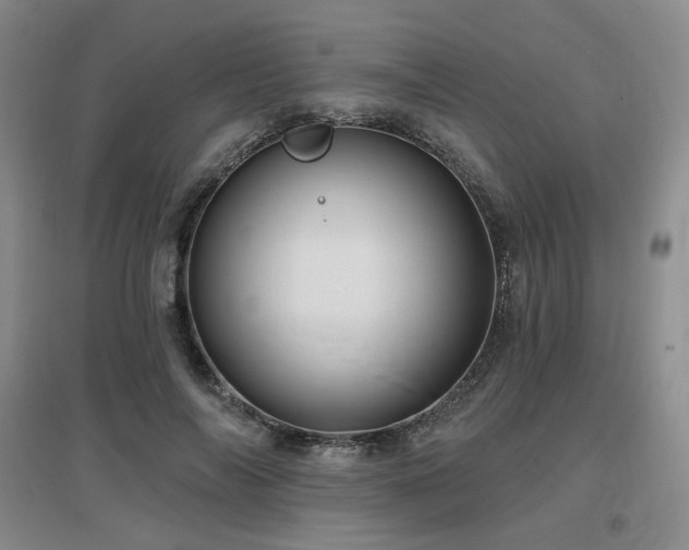 X0000097650694200802291450