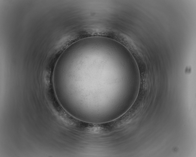 X0000097650695200802291450