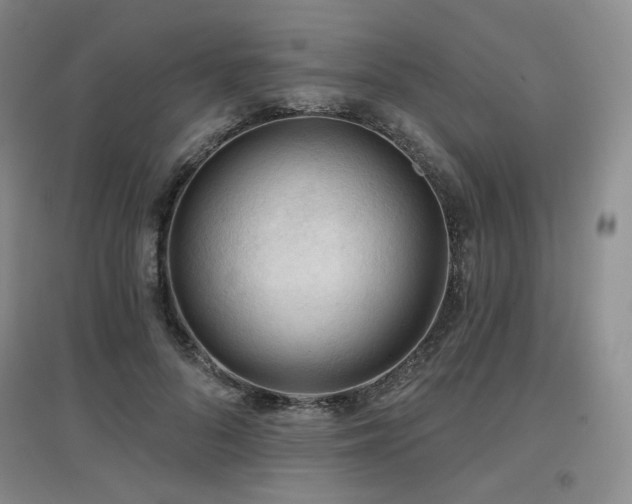 X0000097650696200802291450