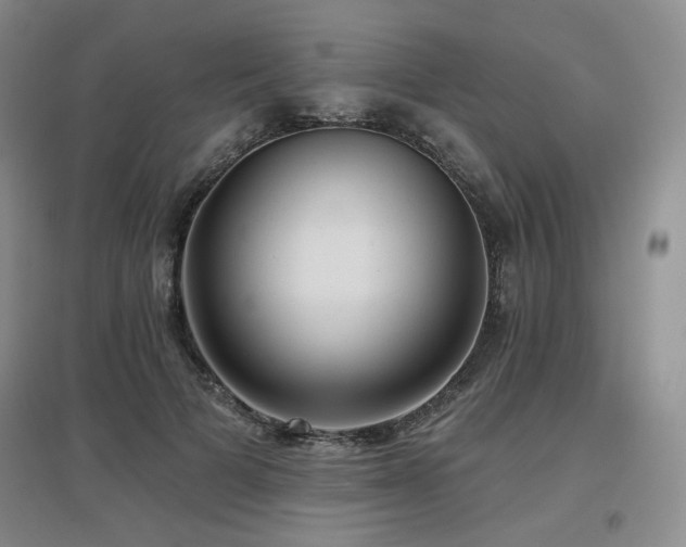 X0000097650697200802291450