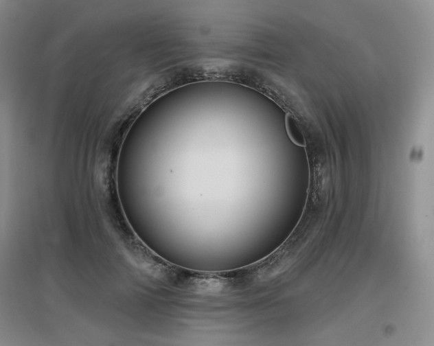 X0000097650698200802291450