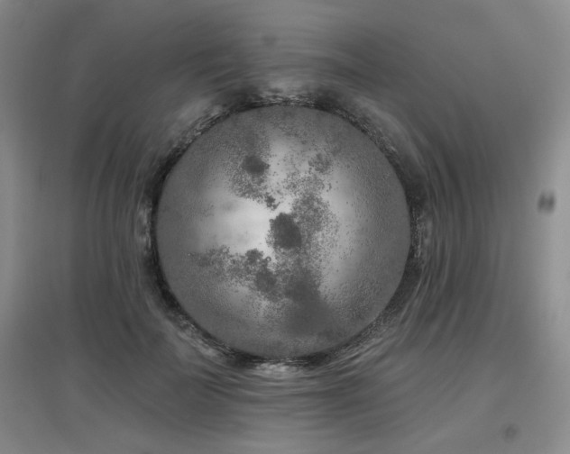 X0000097650699200802291450