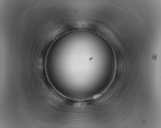 X0000097650700200802291450