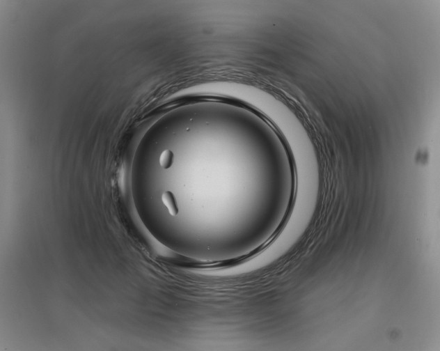 X0000097650701200802291450